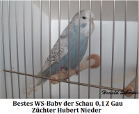 14. Jungvogel 003.png